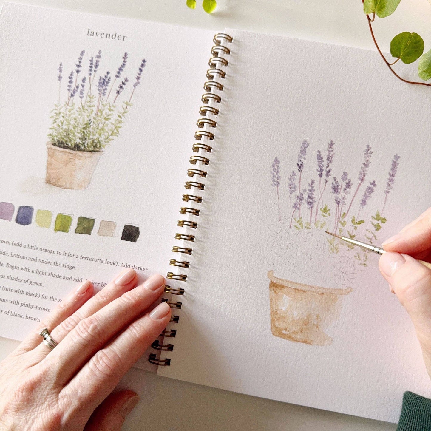 Watercolor Garden Workbook