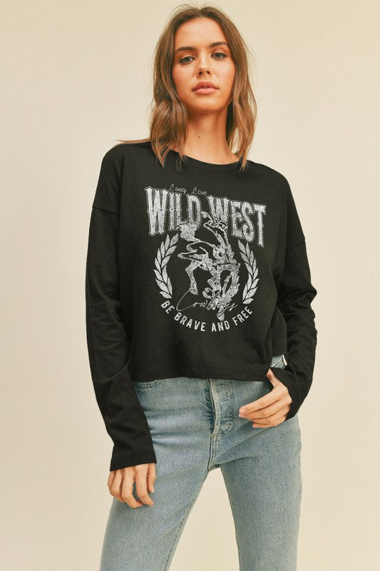 Wild West Cowboy