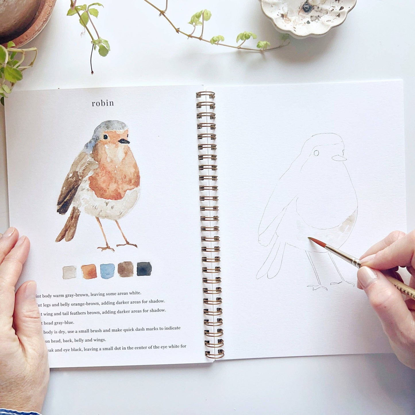 Watercolor Birds Workbook