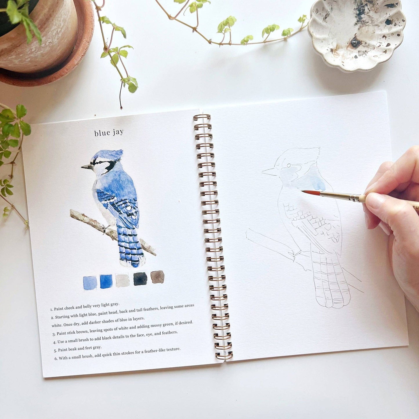 Watercolor Birds Workbook