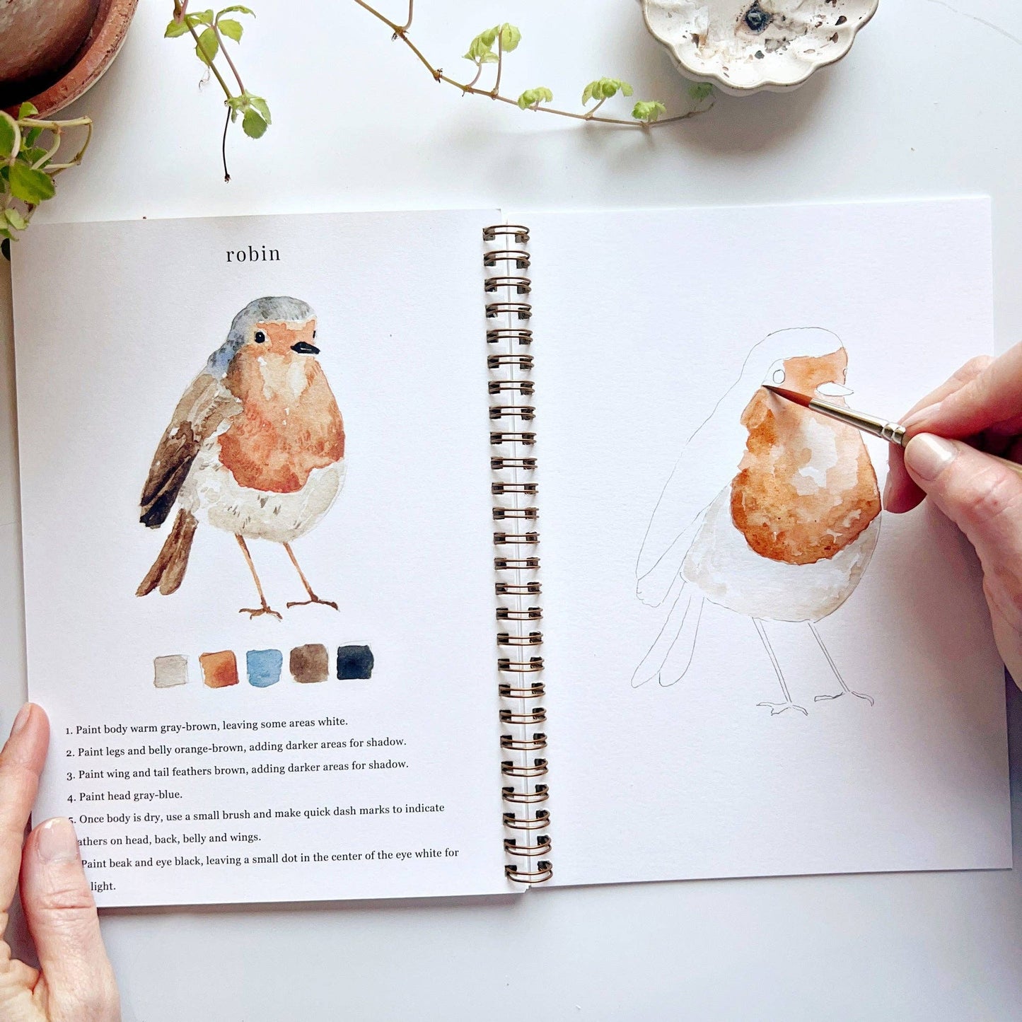 Watercolor Birds Workbook