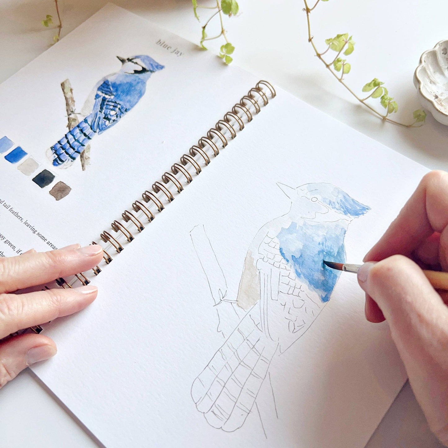 Watercolor Birds Workbook