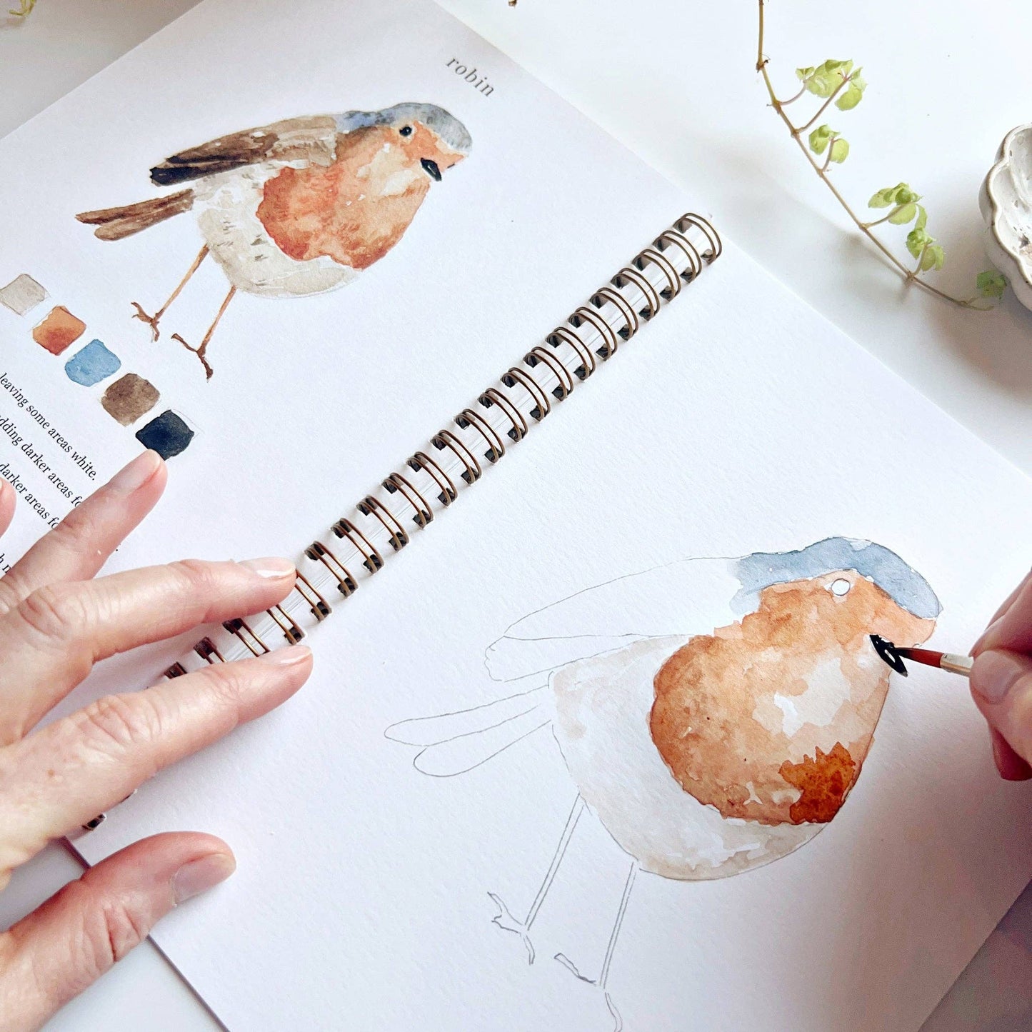 Watercolor Birds Workbook