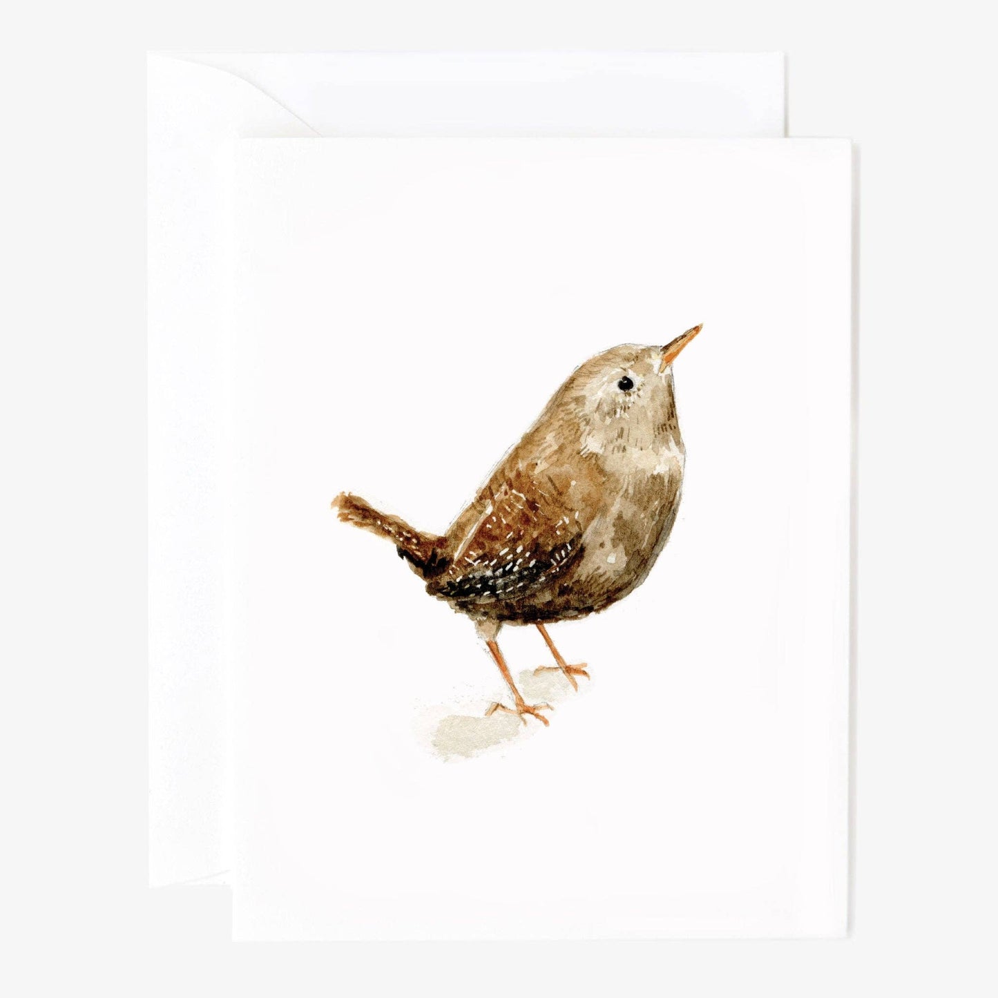 Birds Notecard Set