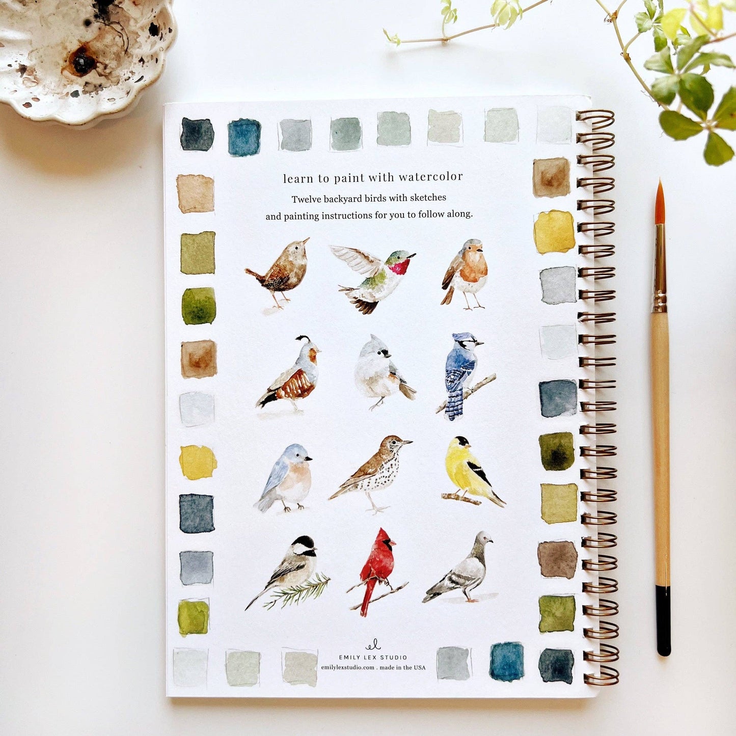 Watercolor Birds Workbook