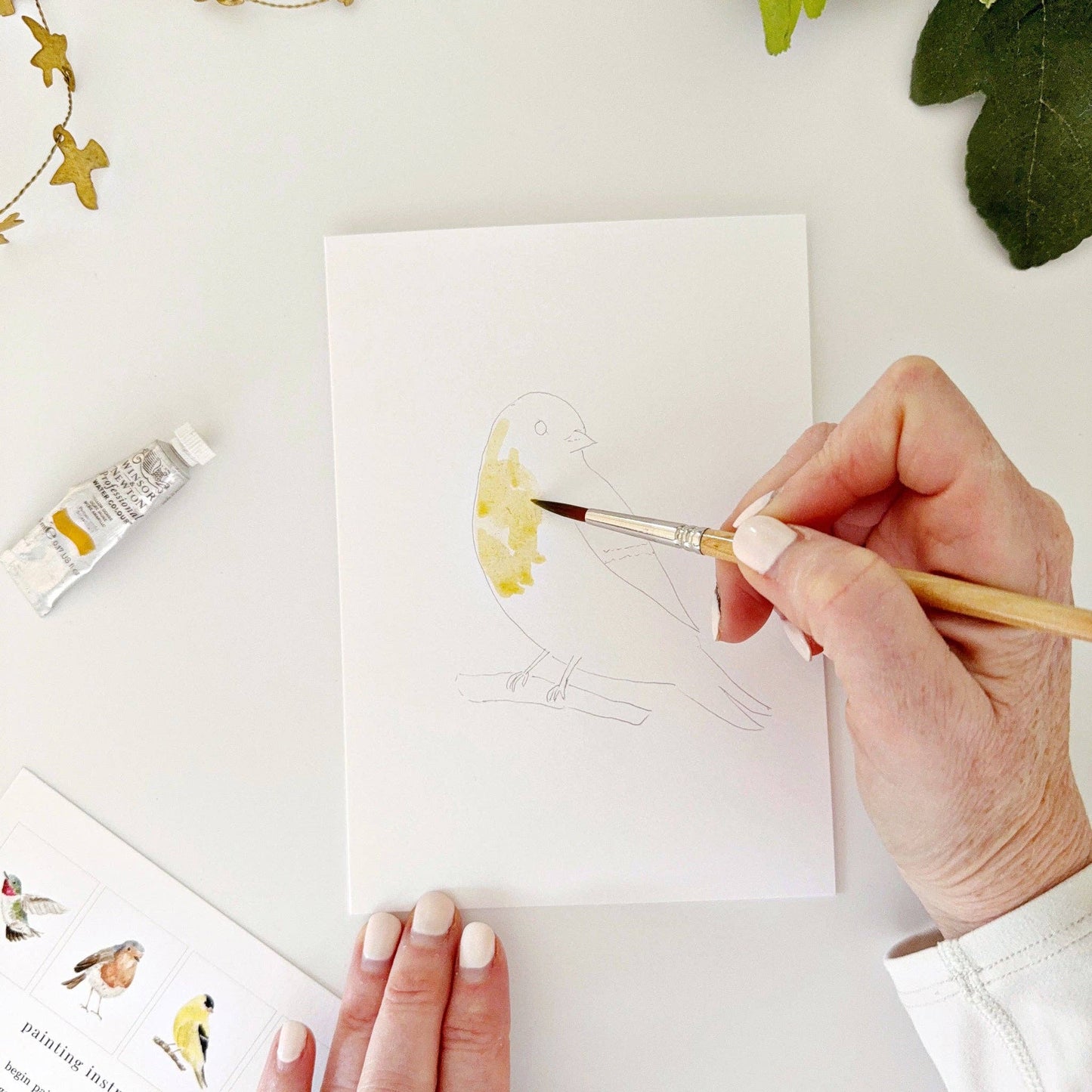 Backyard Birds Notecards