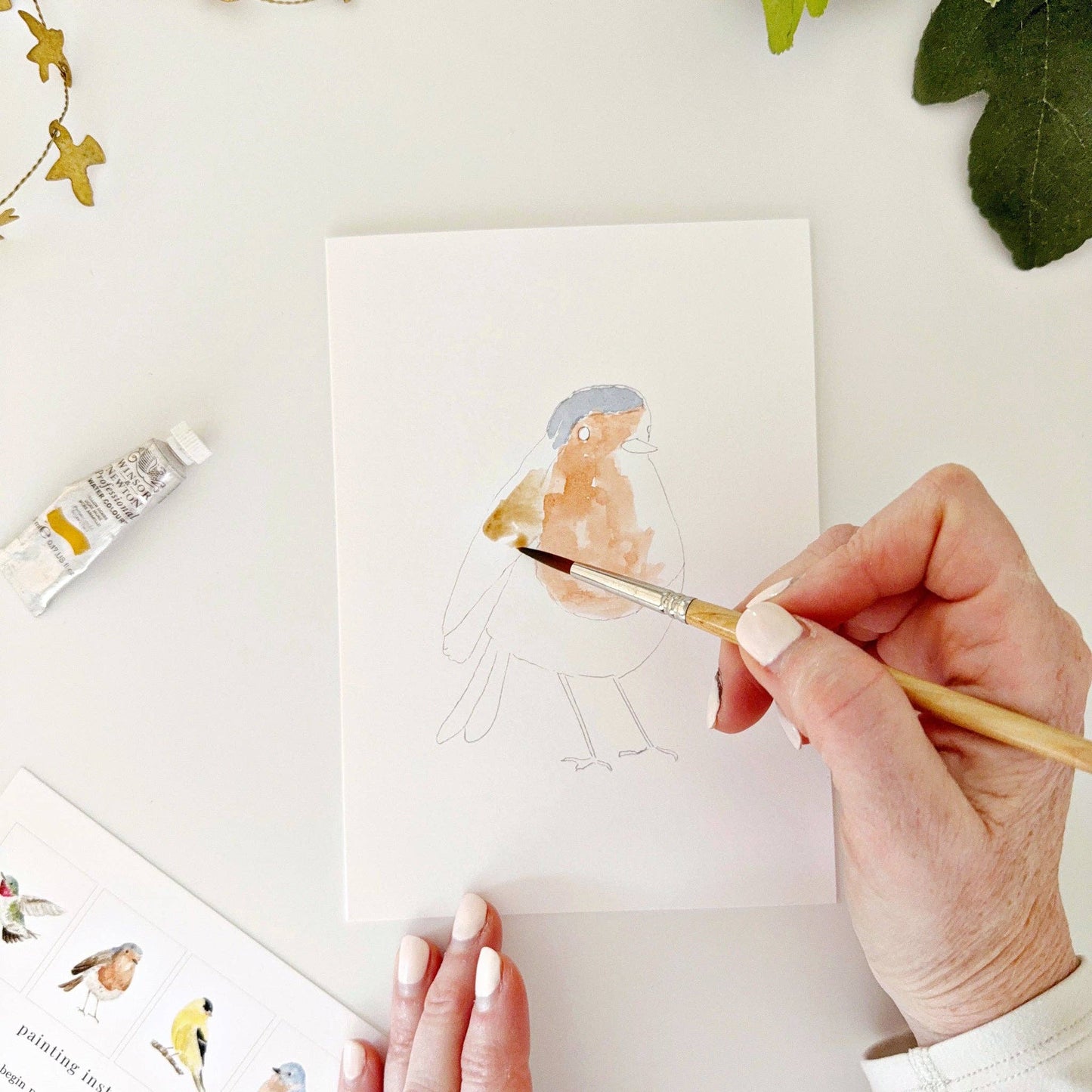 Backyard Birds Notecards
