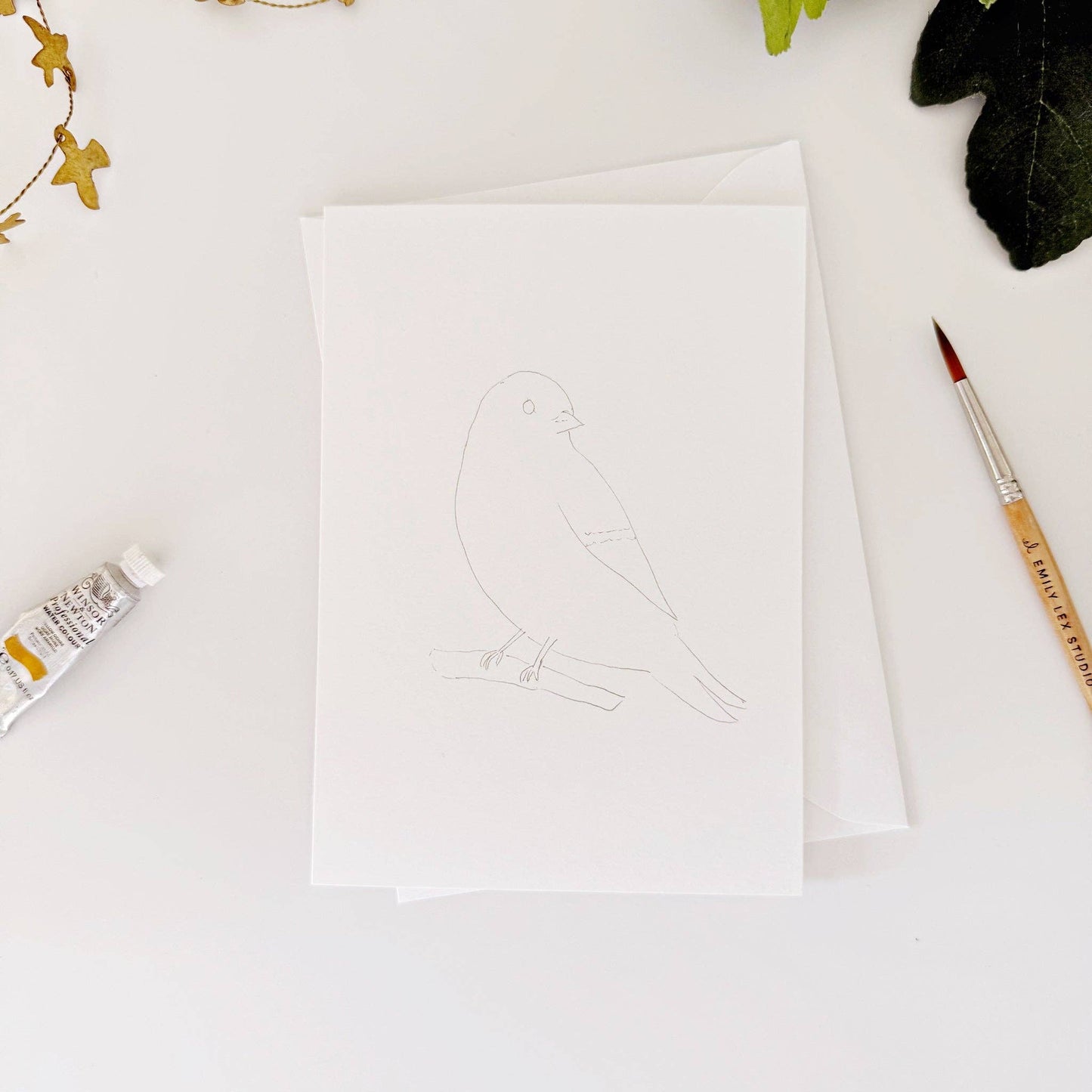 Backyard Birds Notecards