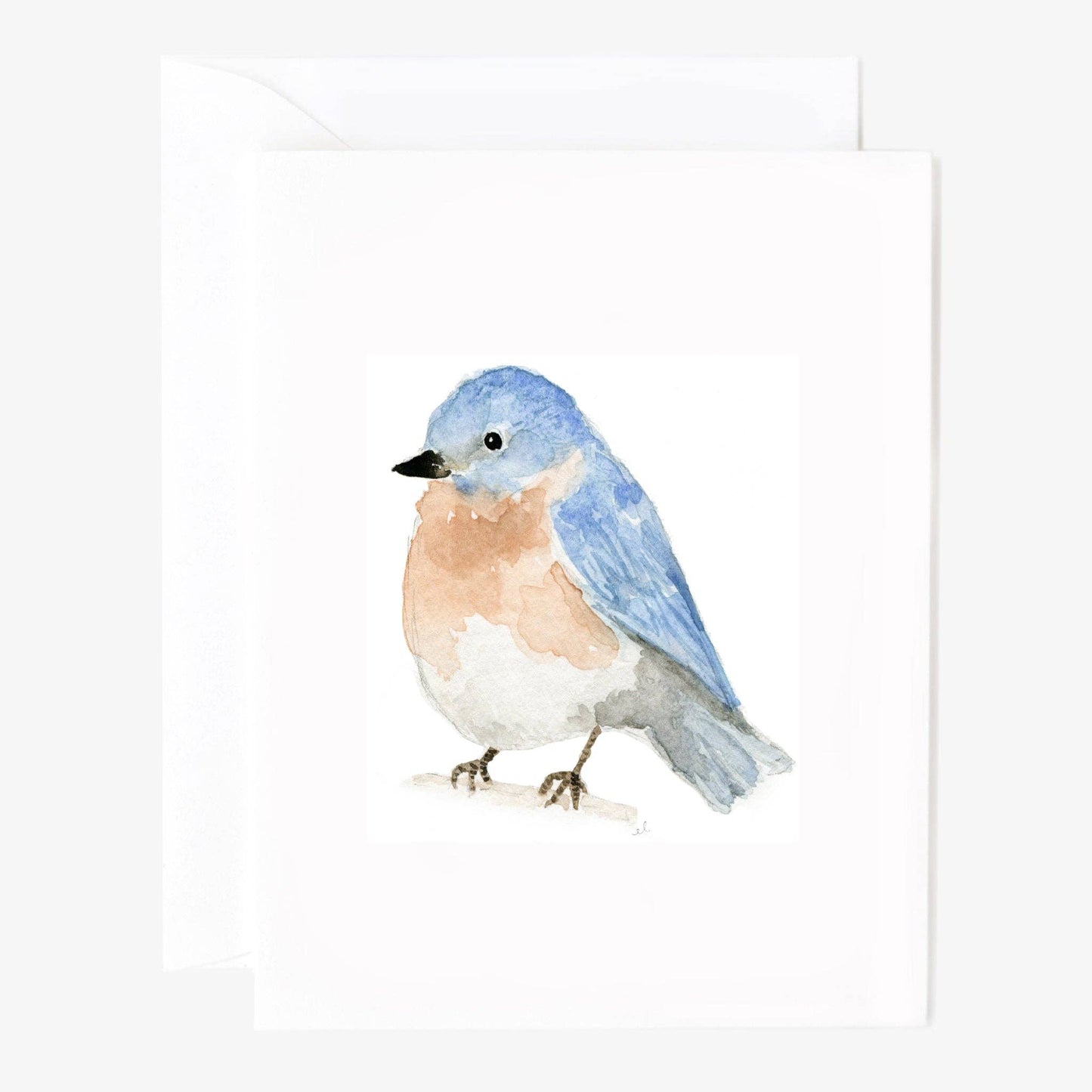 Birds Notecard Set
