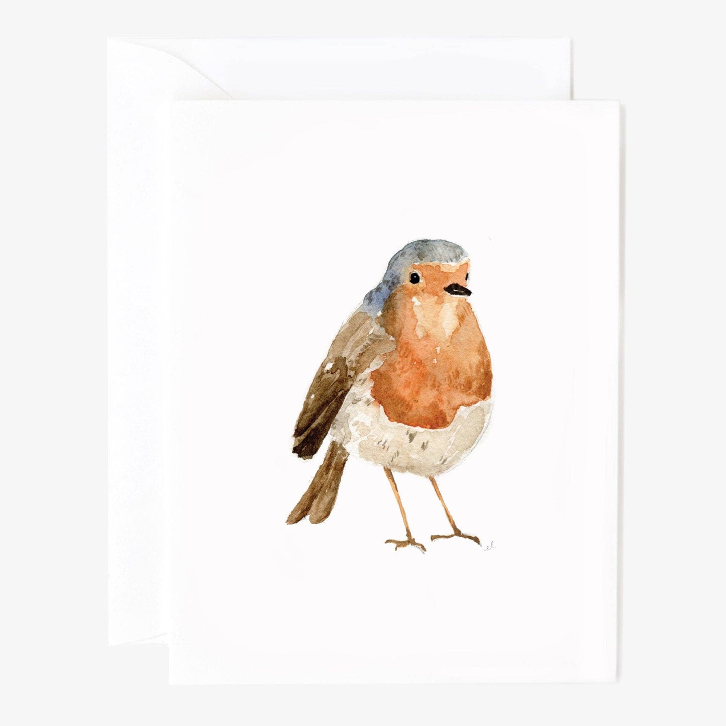 Birds Notecard Set
