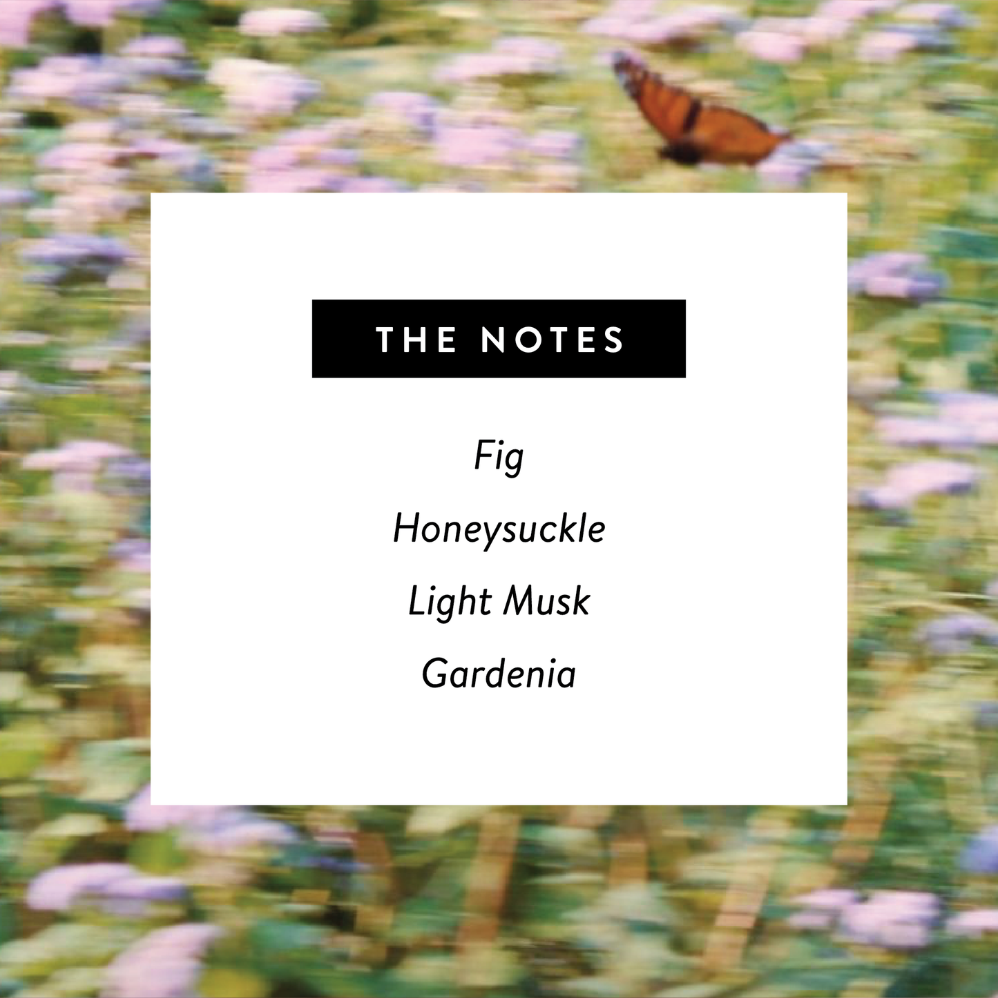 Monarch Organic Perfume