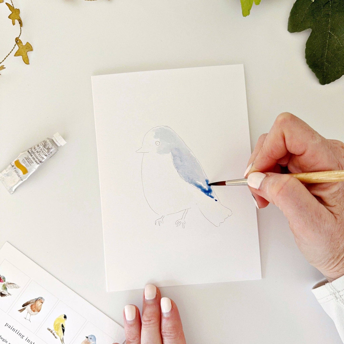 Backyard Birds Notecards