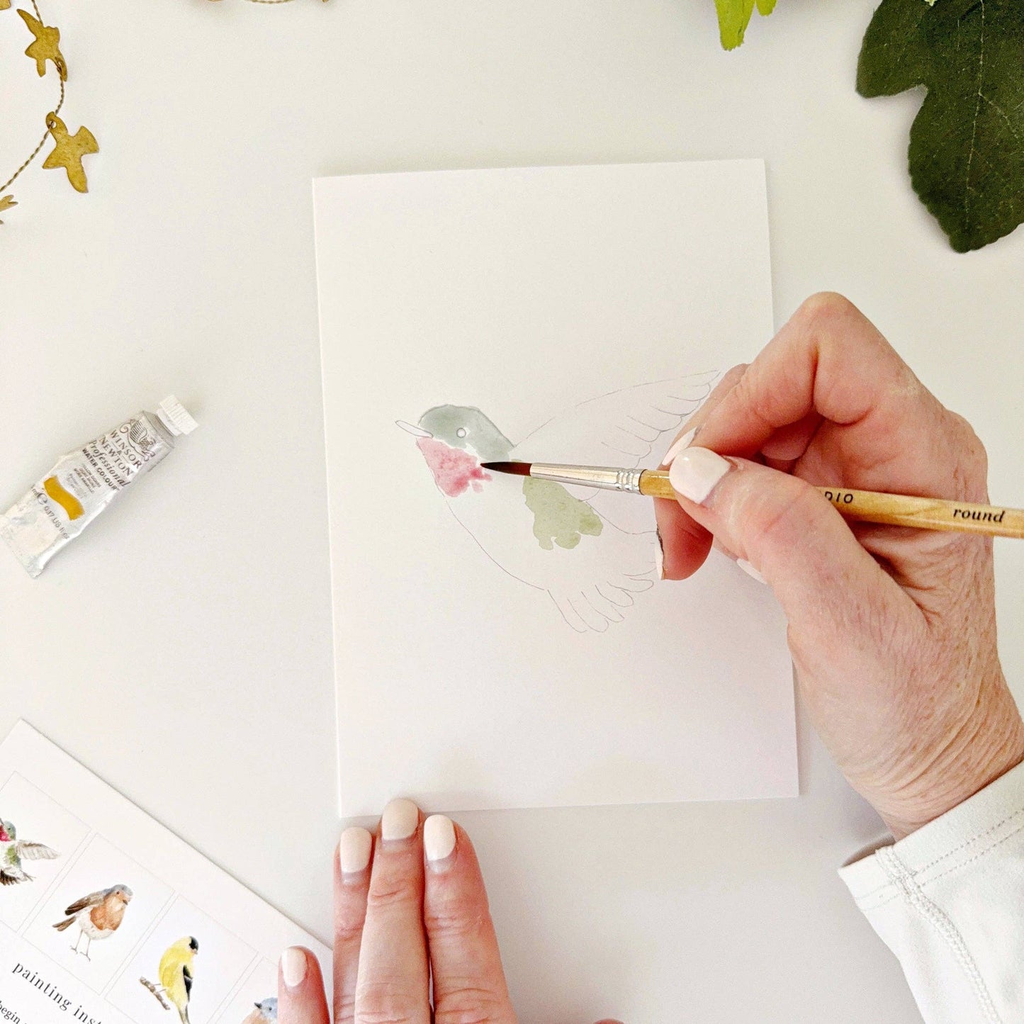 Backyard Birds Notecards
