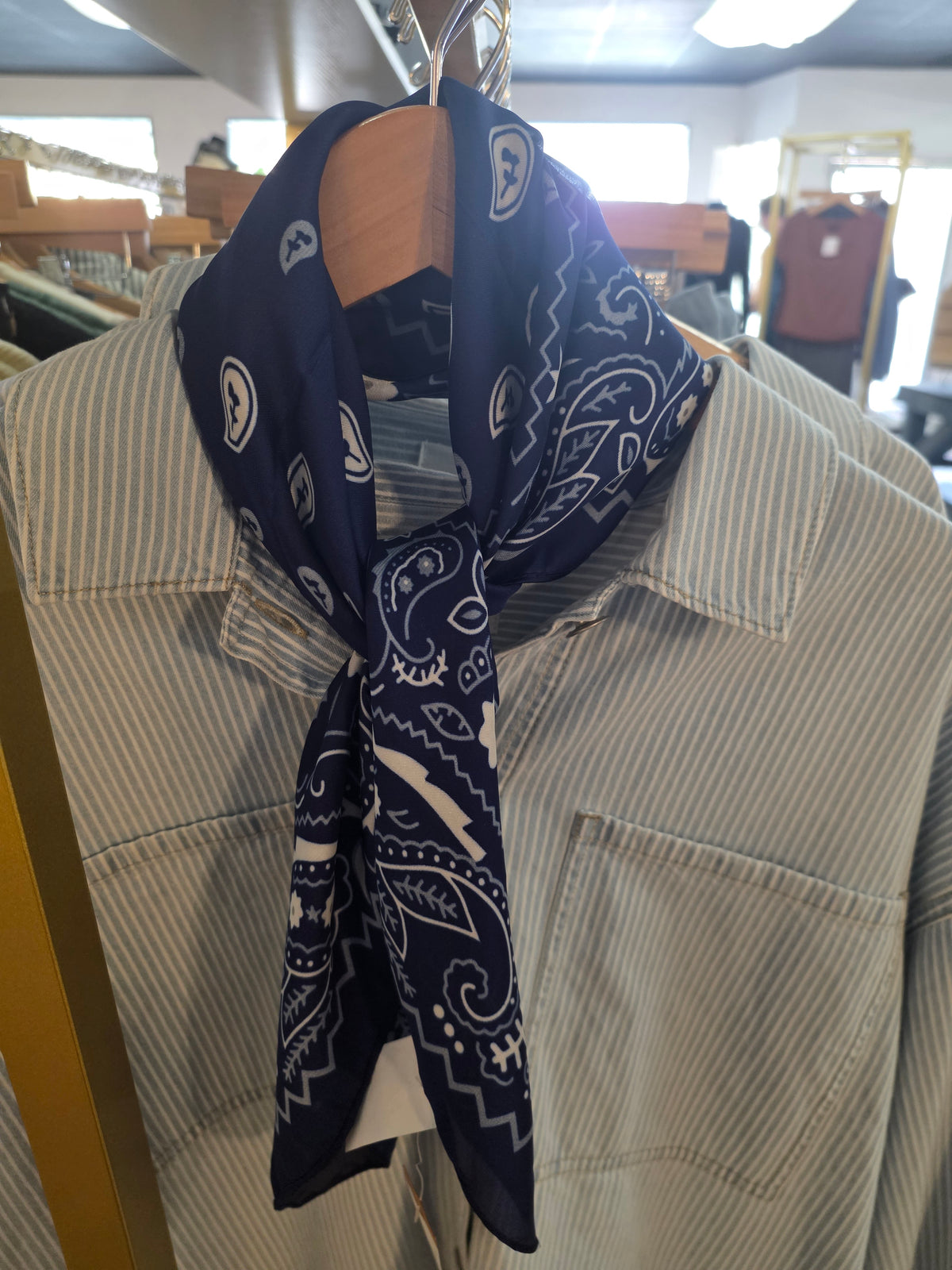 Paisley Satin Scarf